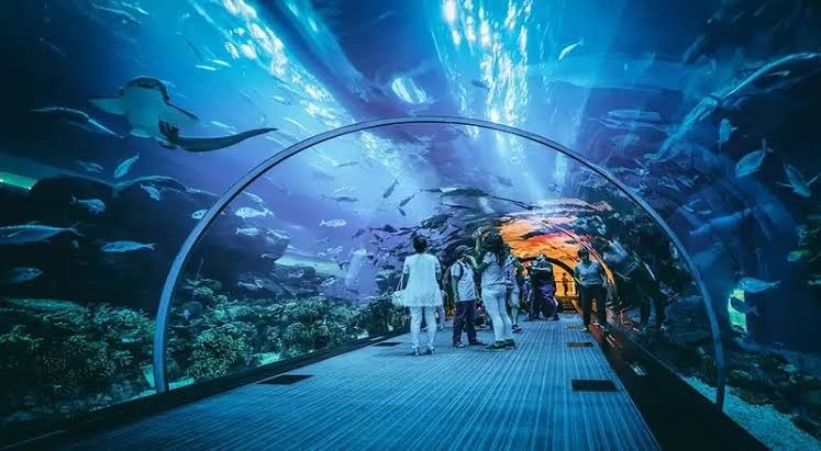 Taraporewala Aquarium